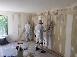 Best Mold Prevention Services  in Patchogue, NY